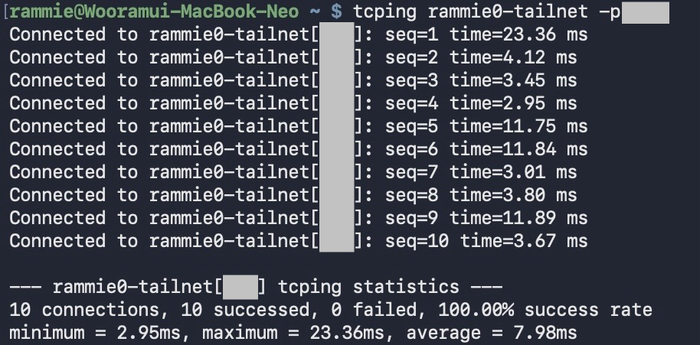 tailnet-latency
